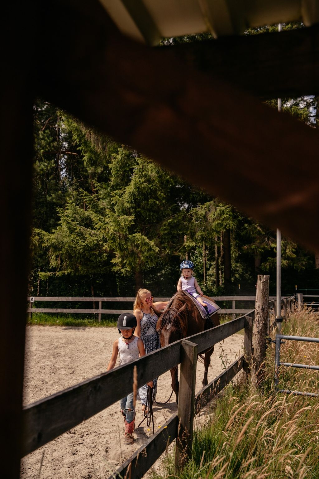 Rancho con caballos y ganado en el canal Ems-Jade