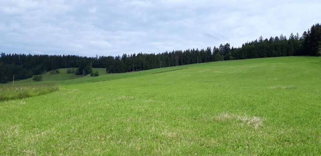 Stellplatz im Schwarzwald mit einmaliger Aussicht 