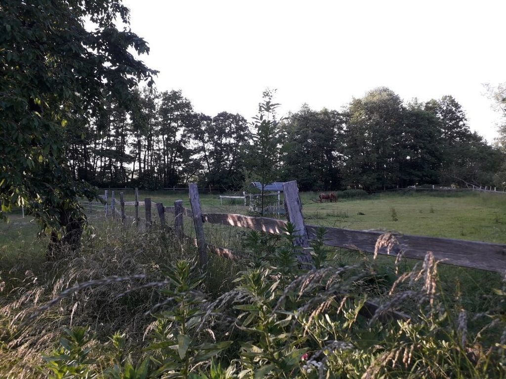 idyllischer Hof in der nördlichen Uckermark