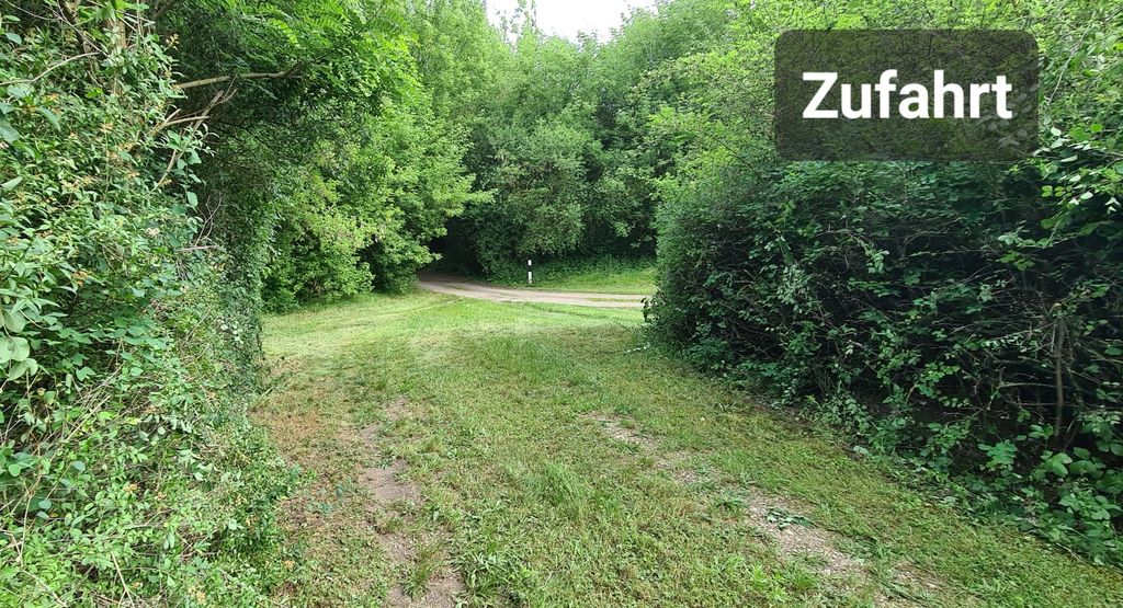 Accesso visto dal terreno (posti auto non visibili a sinistra e a destra)