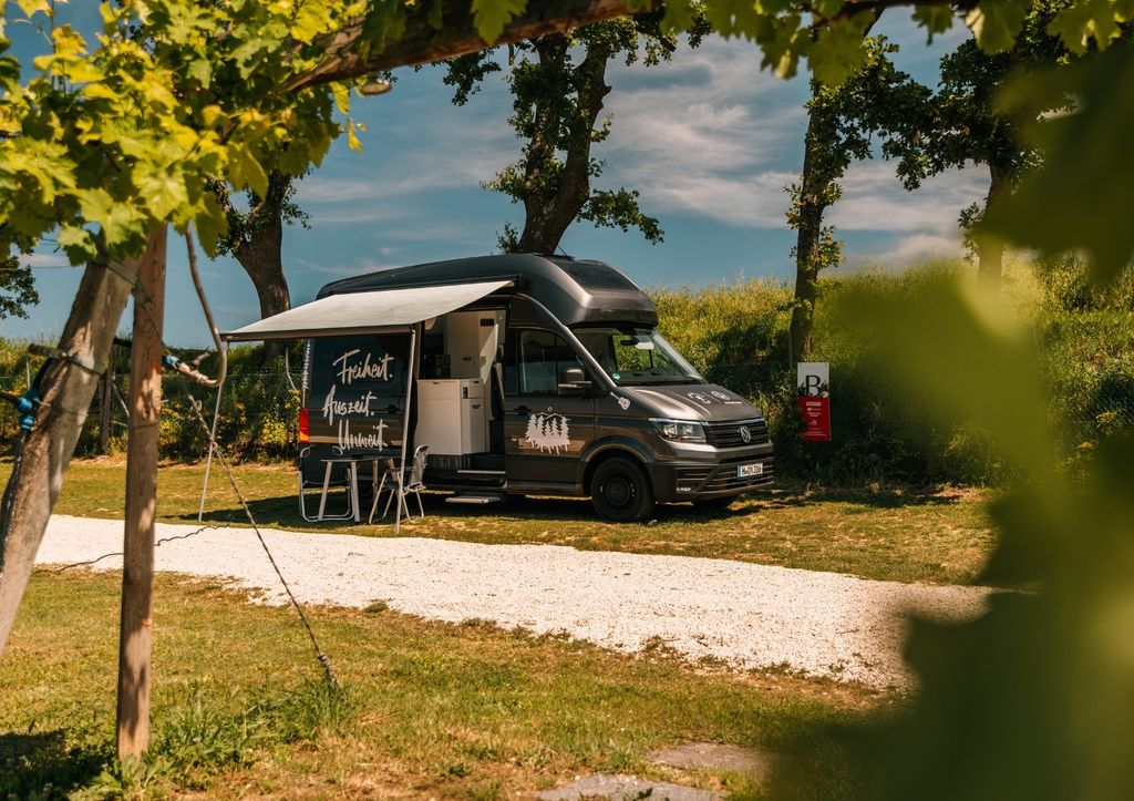 Emplacements dans le vignoble