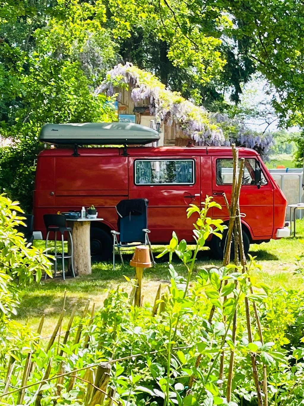 Willkommen im Moor - Campen auf dem Waldgrundstück