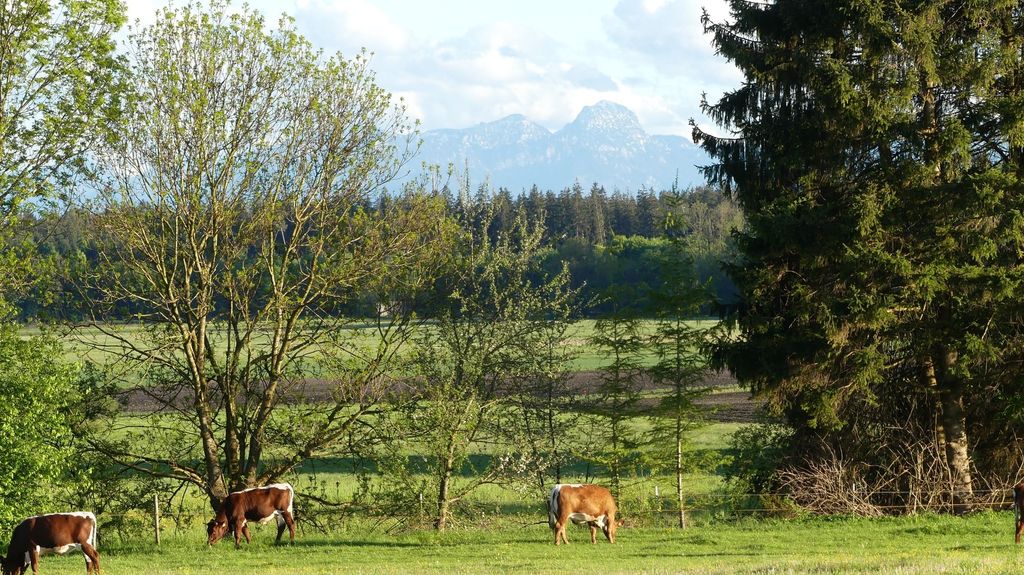 Emplacement 2 au Grundlweiher