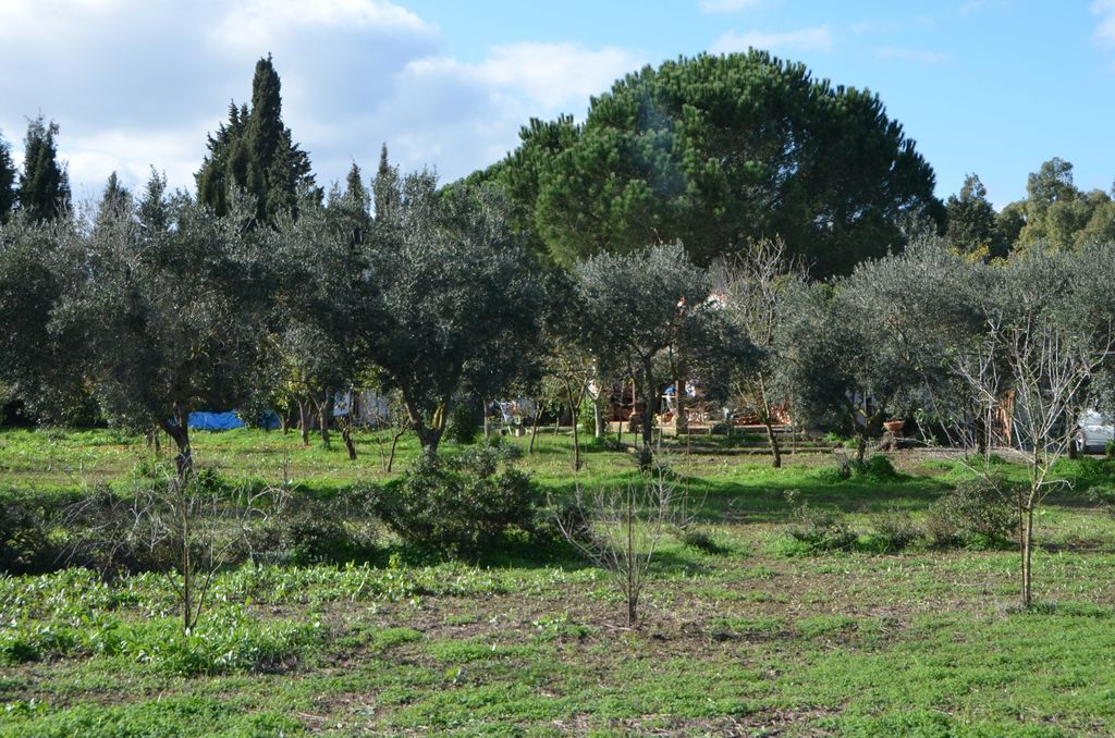 Ecovillage : Tente et camping-car à la campagne