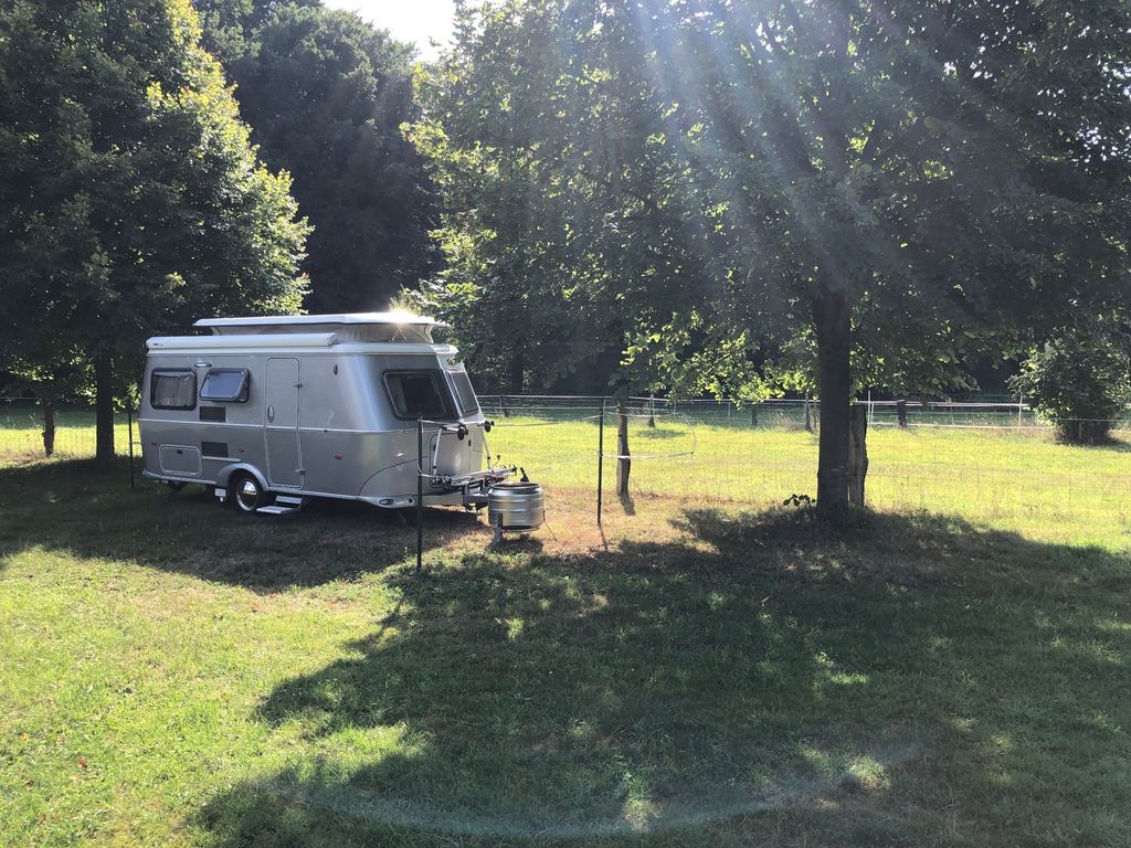 In the middle of the country under linden trees