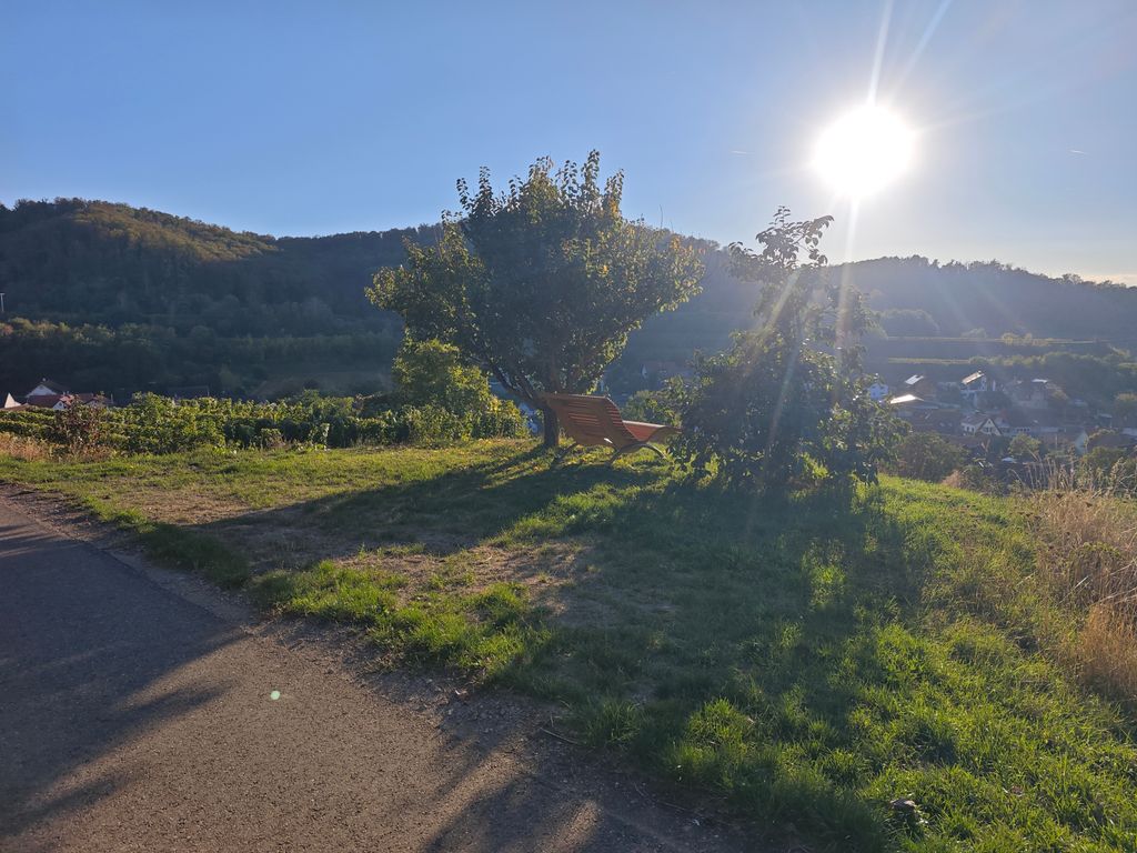 Amoltern Camping: Lookout Point with a View of the Vosges Mountains