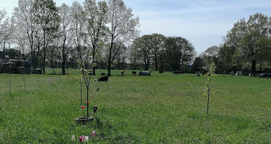 Camping auf der Heuwiese 