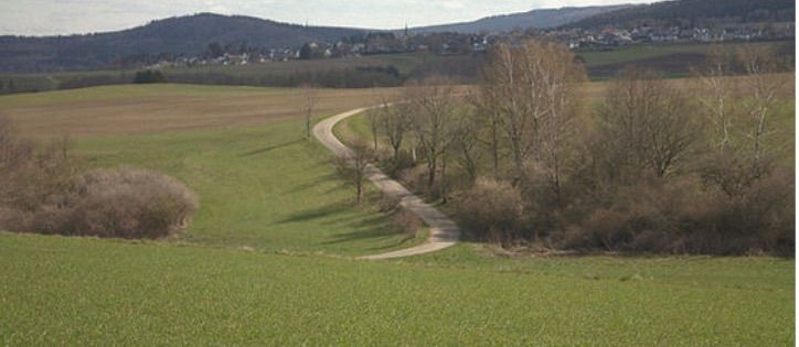 Recreo en el bosque alto con vistas al parque nacional