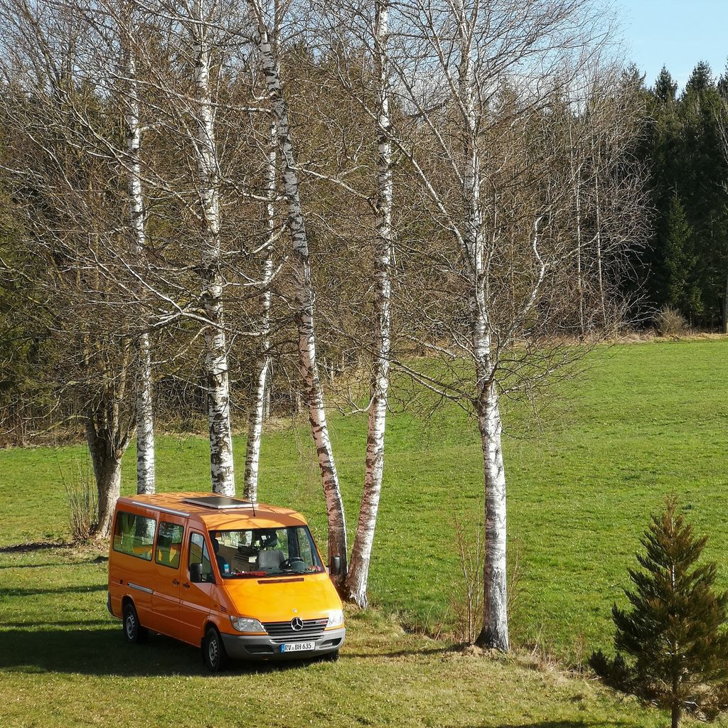 Platz unter den Birken mit Sonnenaufgang