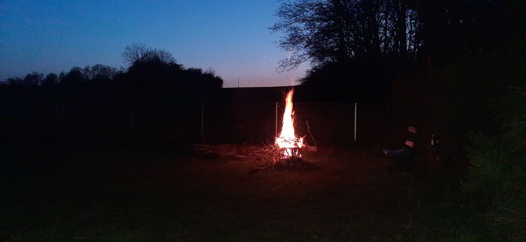 Large meadow on the Szczecin Lagoon