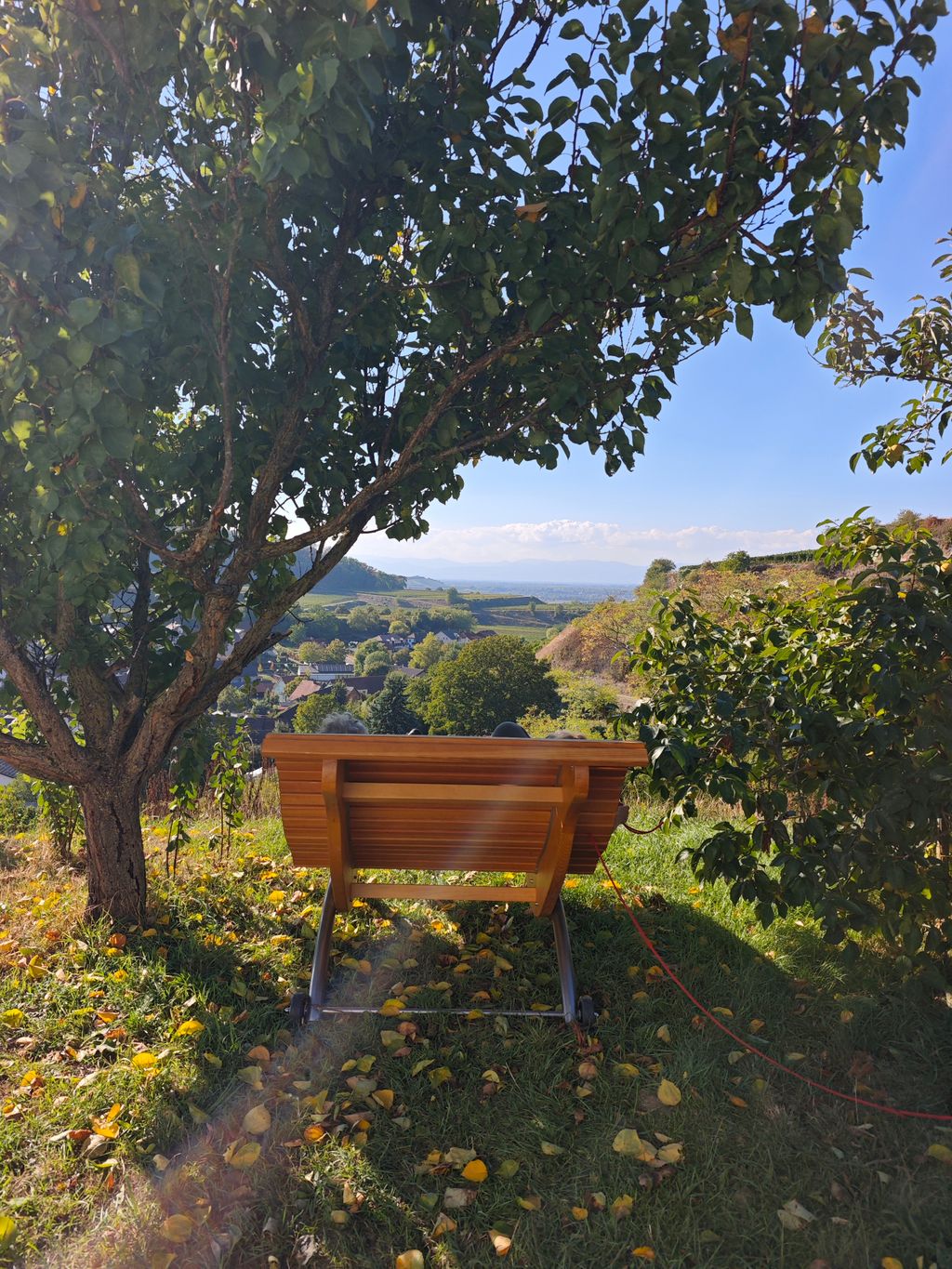 Amoltern Camping: Lookout Point with a View of the Vosges Mountains
