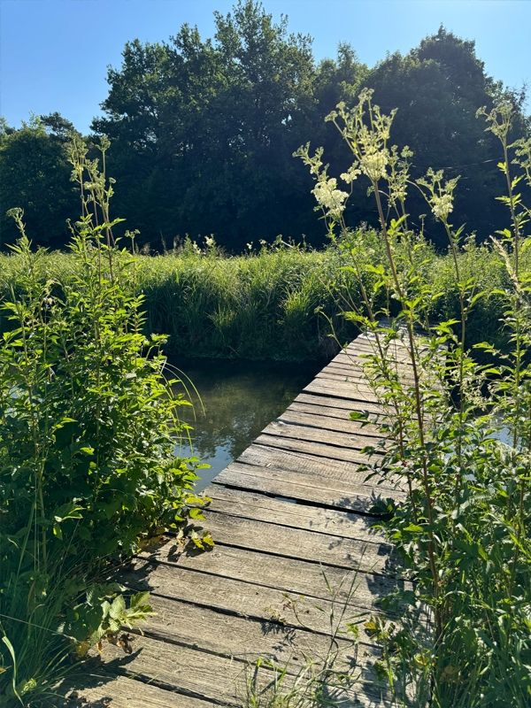 Glücklich am Bach - Stellplatz an der Wiesent