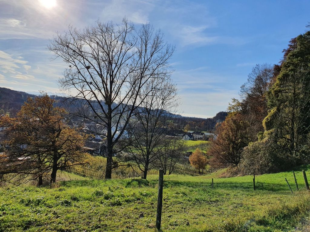 Zwischen Obst und Hopfen im Bodensee-Hinterland