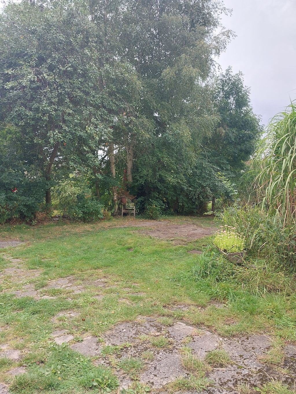 Stellplatz am Miscanthus