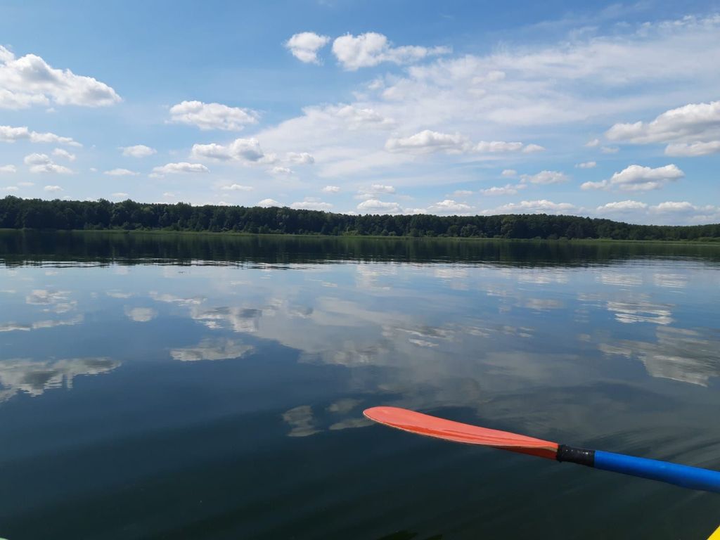 Shepherd's caravan/pitch on the beautiful Tollensesee lake