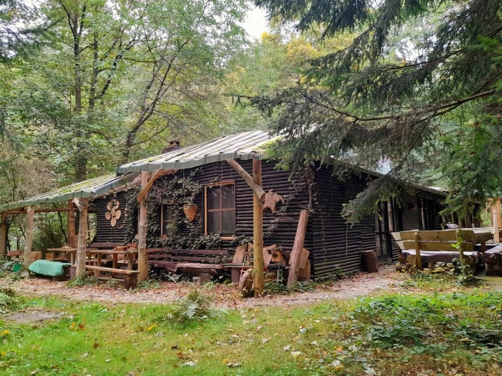 FeWo "Igelstübchen" im Wilden Auwaldhaus
