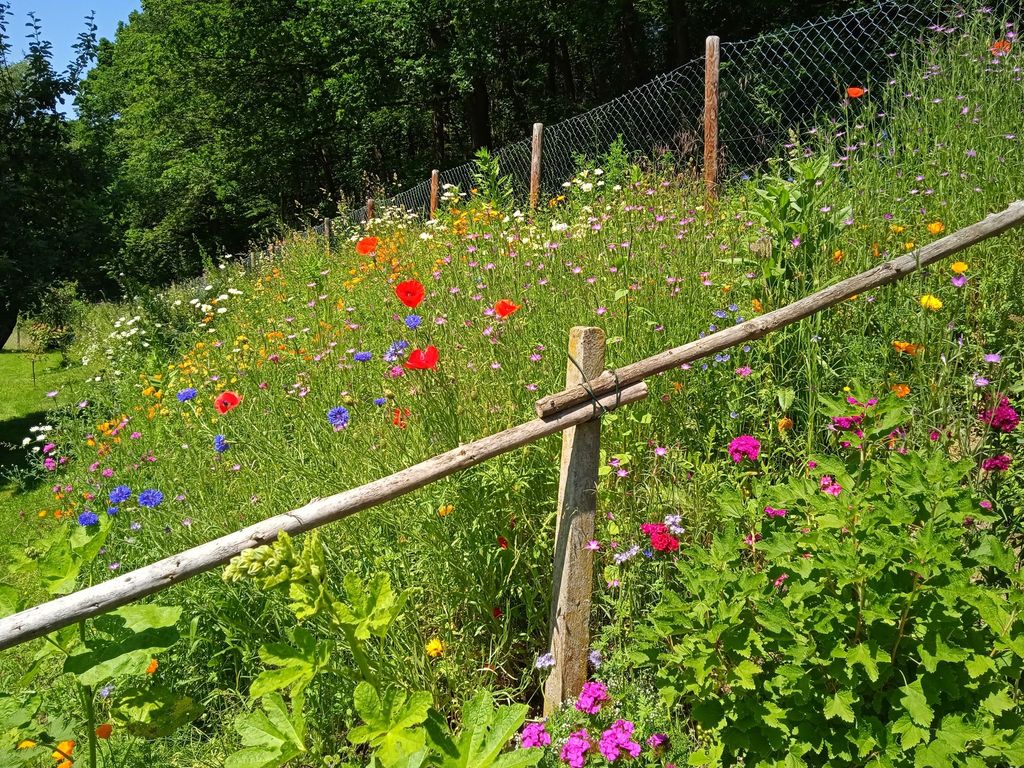 "Paraíso natural en Weserbergland"