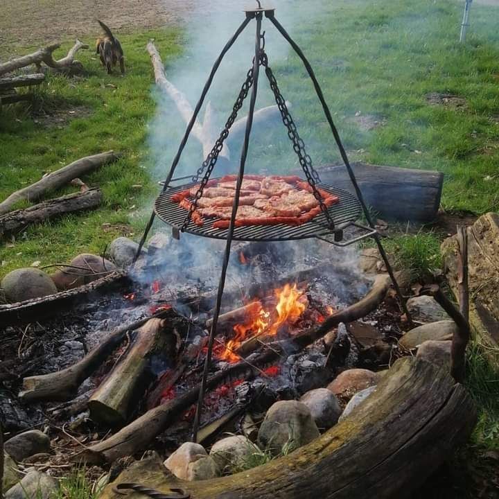 Urlaub im Wald mit direktem Zugang zur Au