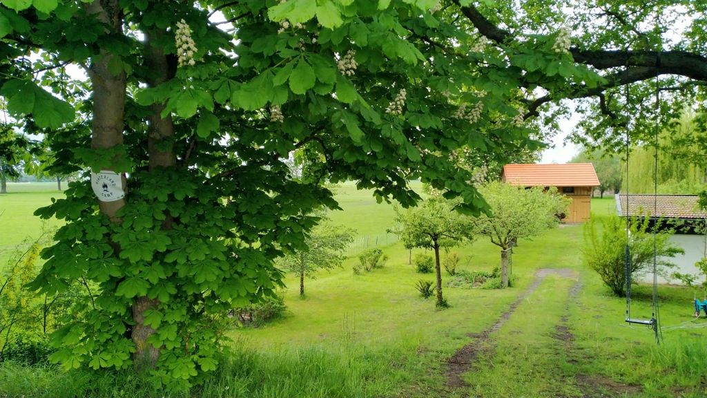 Détente dans la réserve de biosphère Elbtalaue MV
