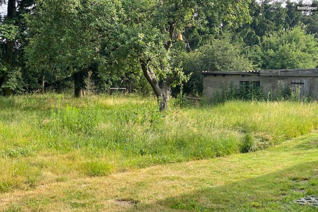 entspannt in der Wiese dem Alltag entfliehen