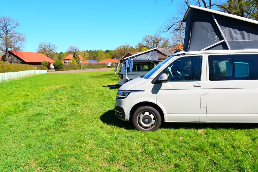 Green meadow in the forest or idyllic yard parking lot