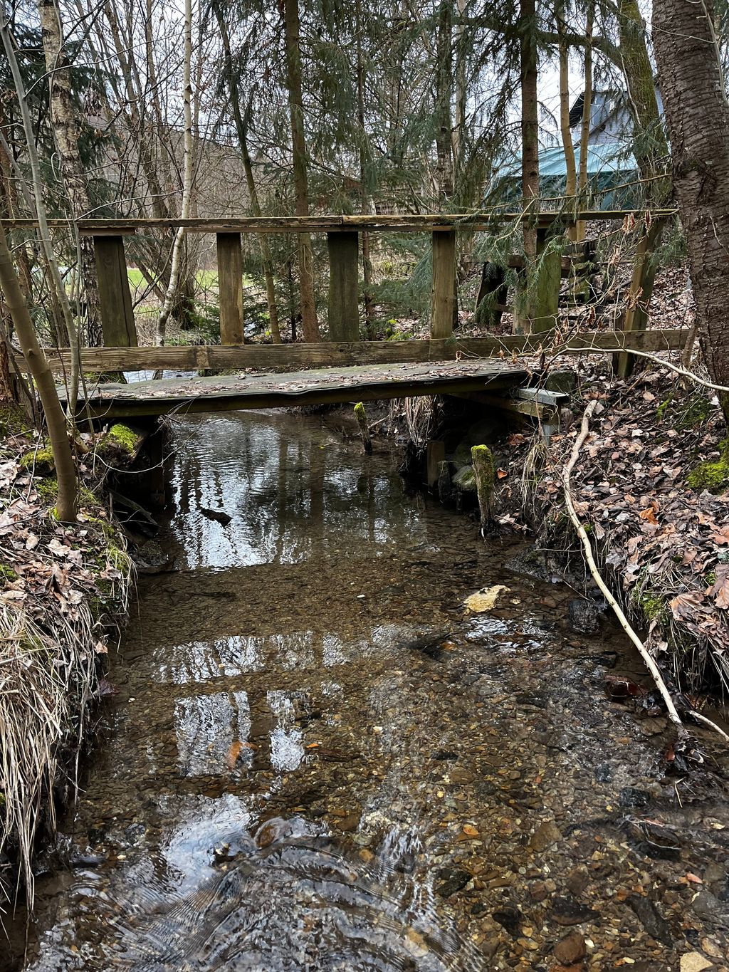 Emplacement au bord du ruisseau avec aire de barbecue et cabane 
