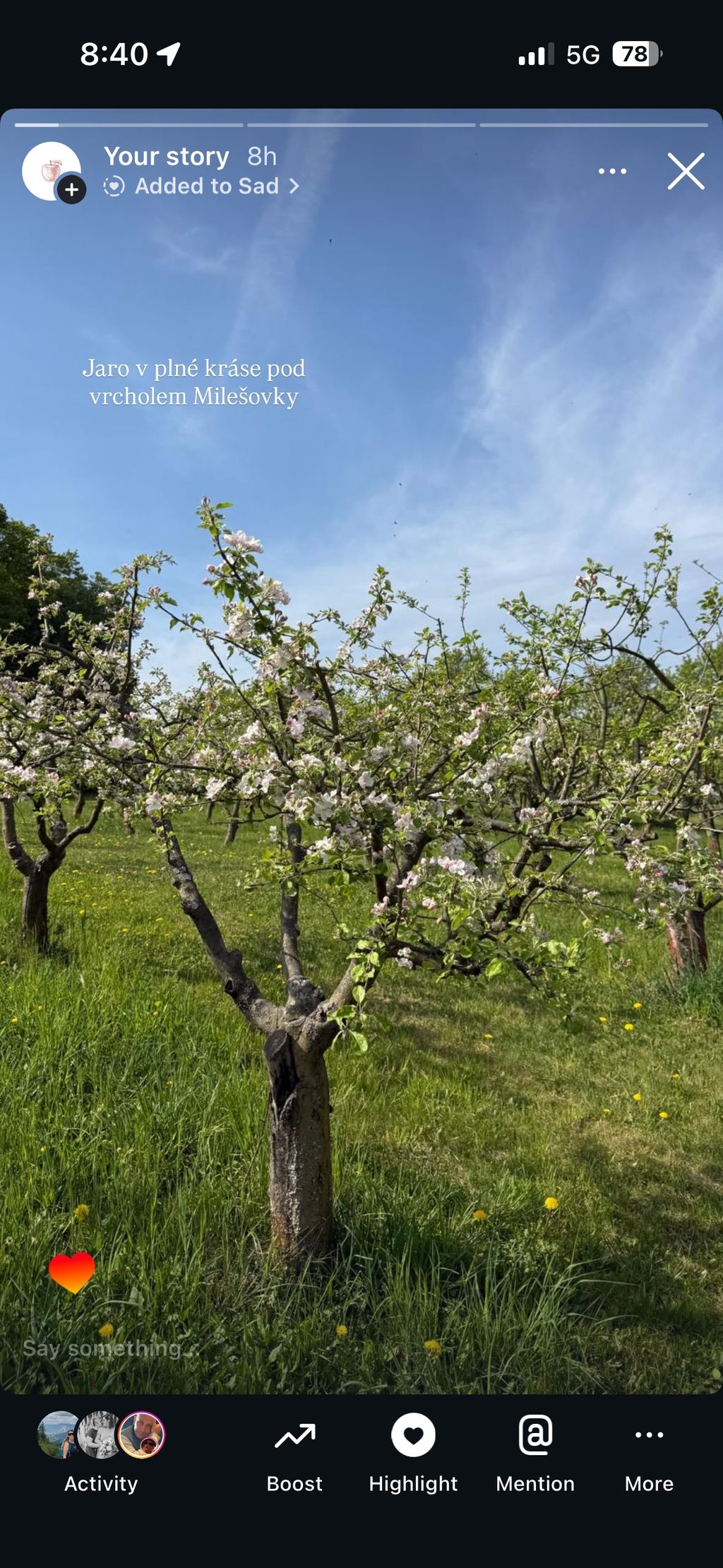 Apple orchard in the Czech low mountain range