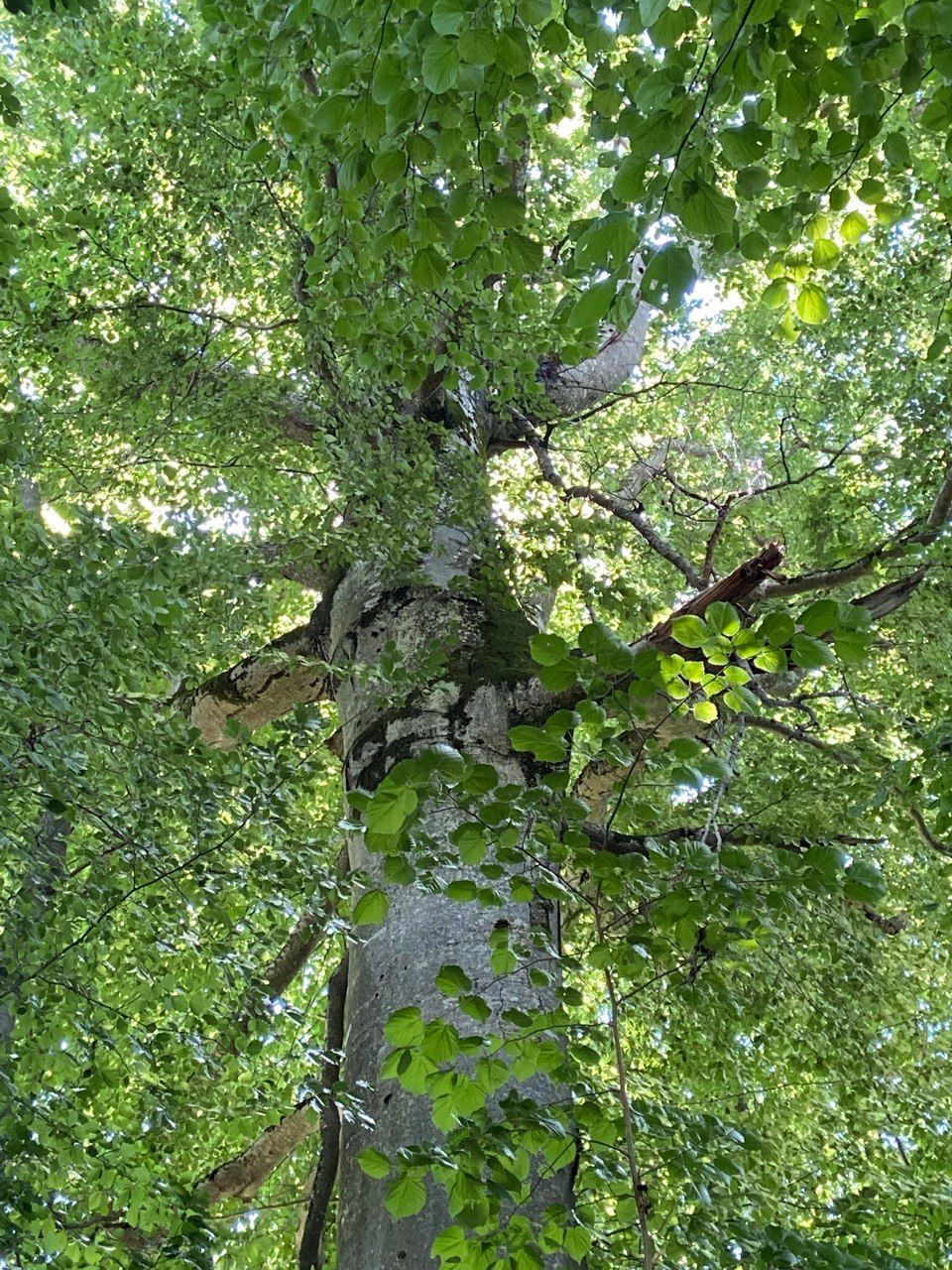 Platz im Allgäu - geschützte und idyllische Lage