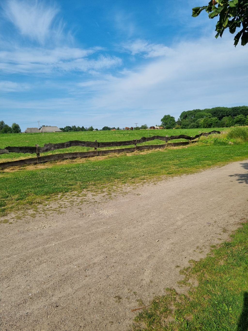 Idylle und Ruhe nahe der Ostsee