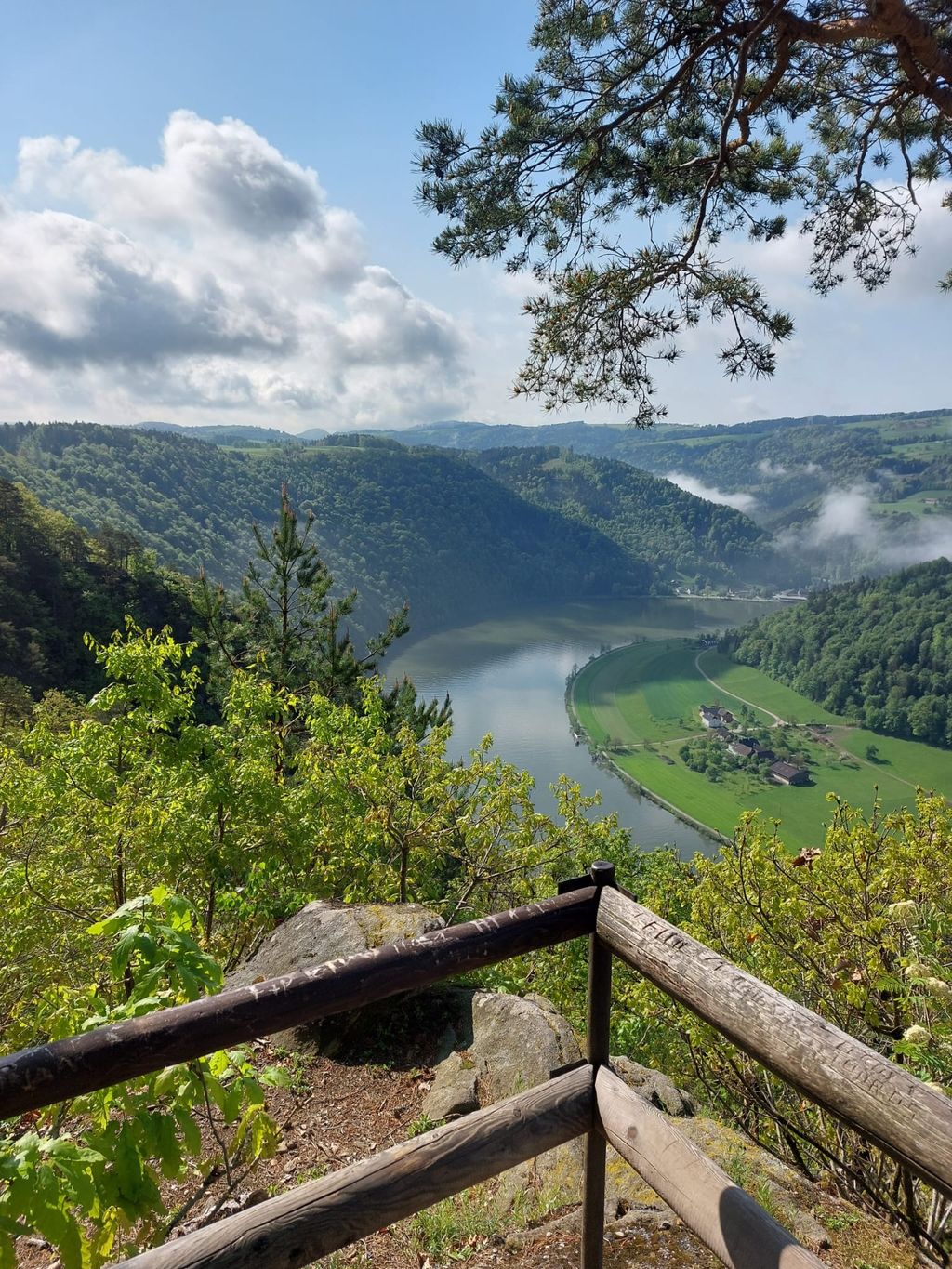 Camping au-dessus de la merveille naturelle qu'est le Donauschlinge