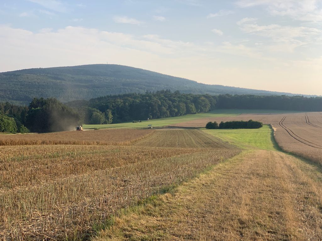 Ubicación aislada con vistas al Idarkopf en el hermoso Hunsrück