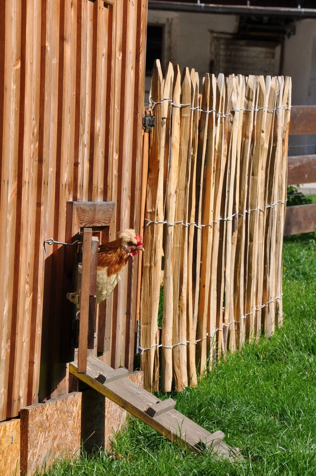Bergbauernhofcamping im schönen Ennstal