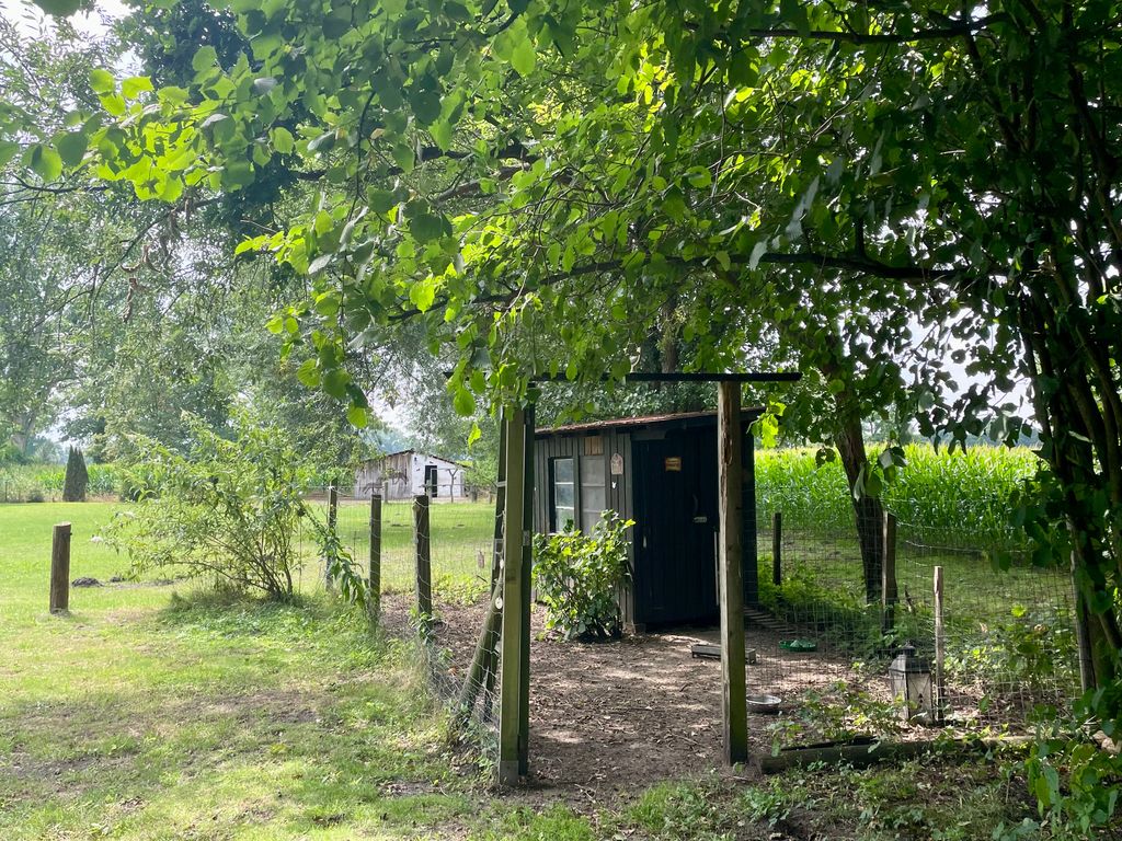 Camping under oak trees on the farm "Hofglück