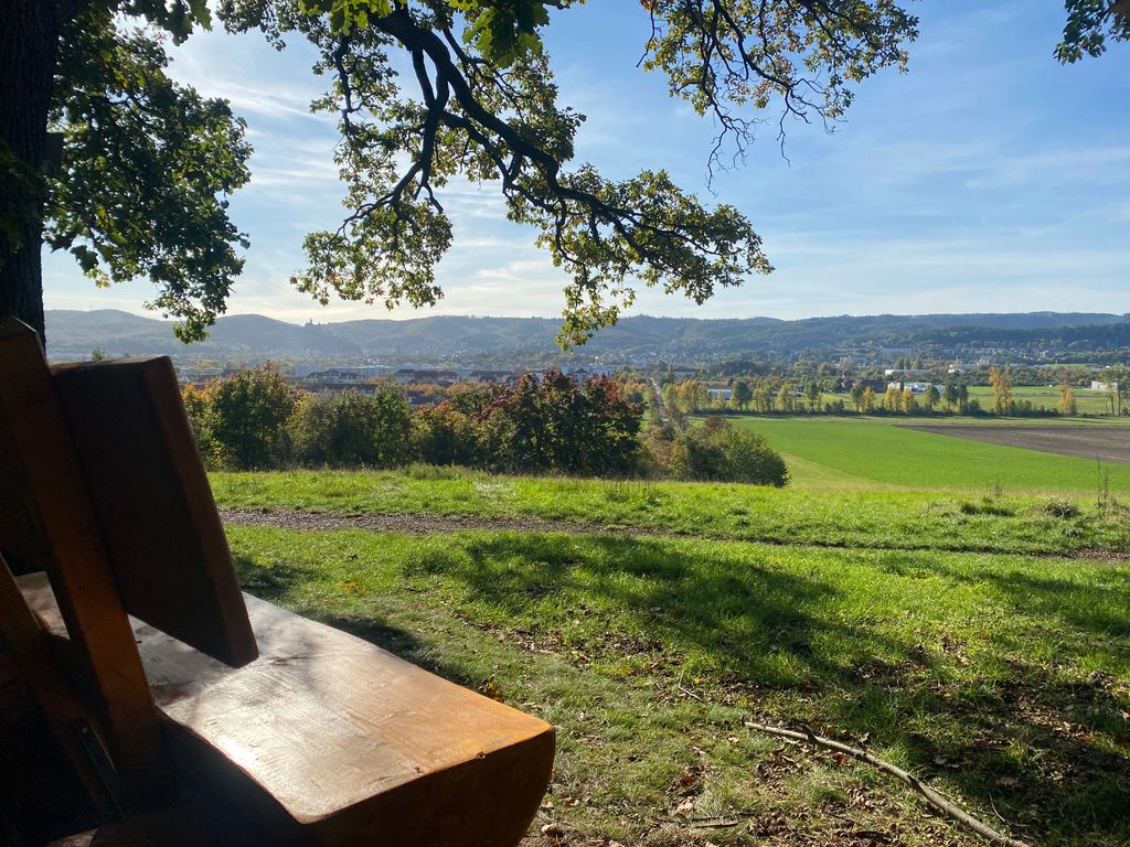 Experience nature with a view of the Harz Mountains