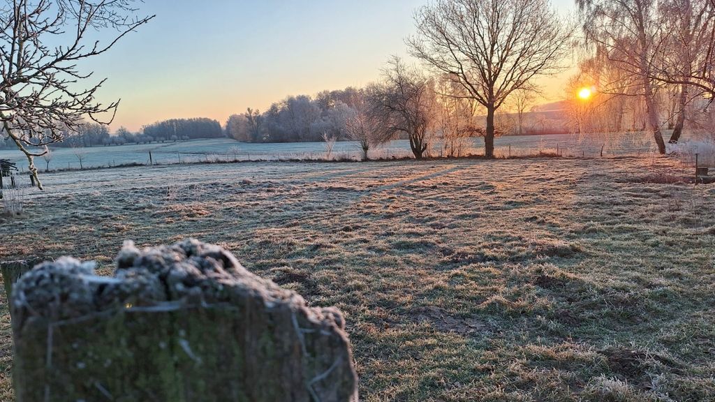 Cozy spot - near A24 & Schwerin