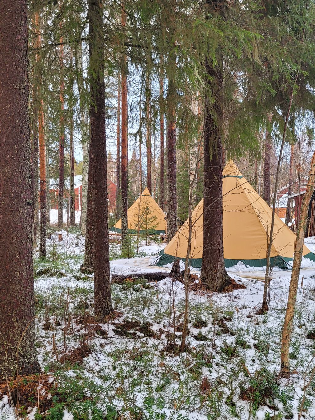 Glamping Abenteuer in schwedisch Lappland 