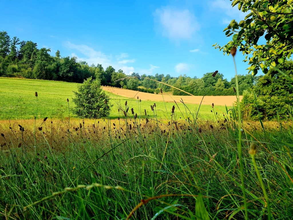Apfelbaumwiese - Natur & Aussicht