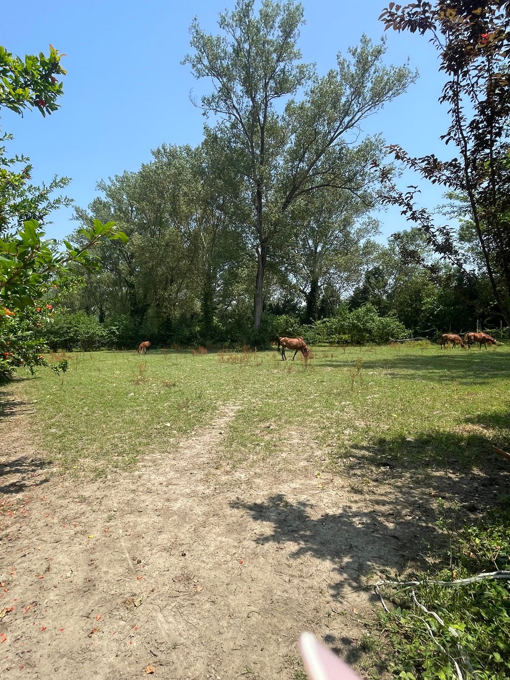 Stellplätze an der Riviera del Brenta