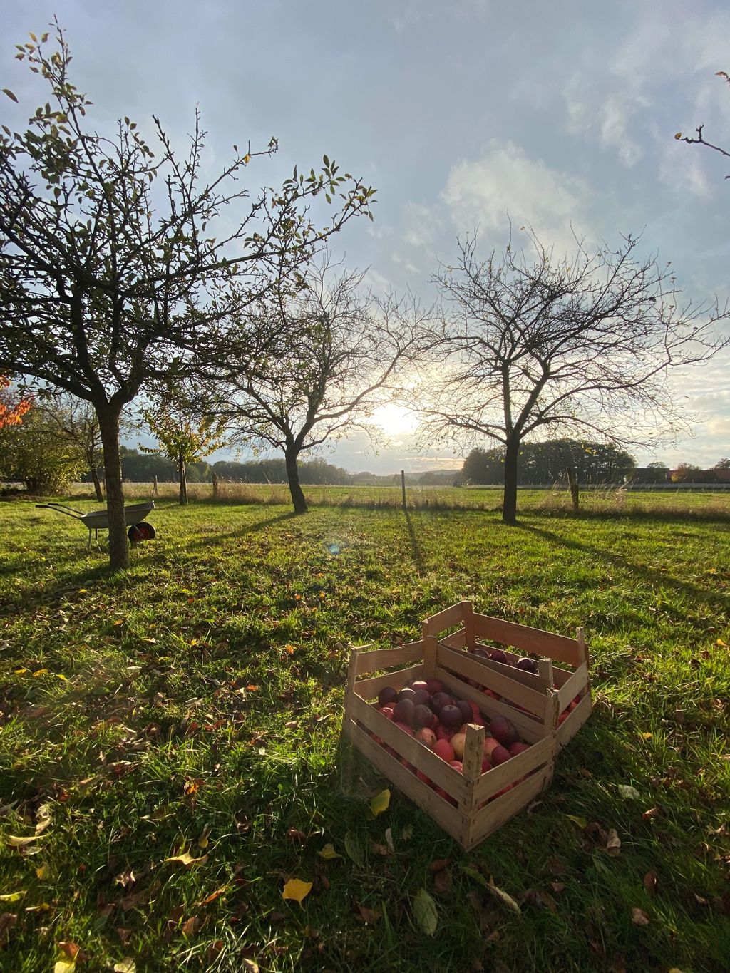 Tra prati, campi e alberi da frutto