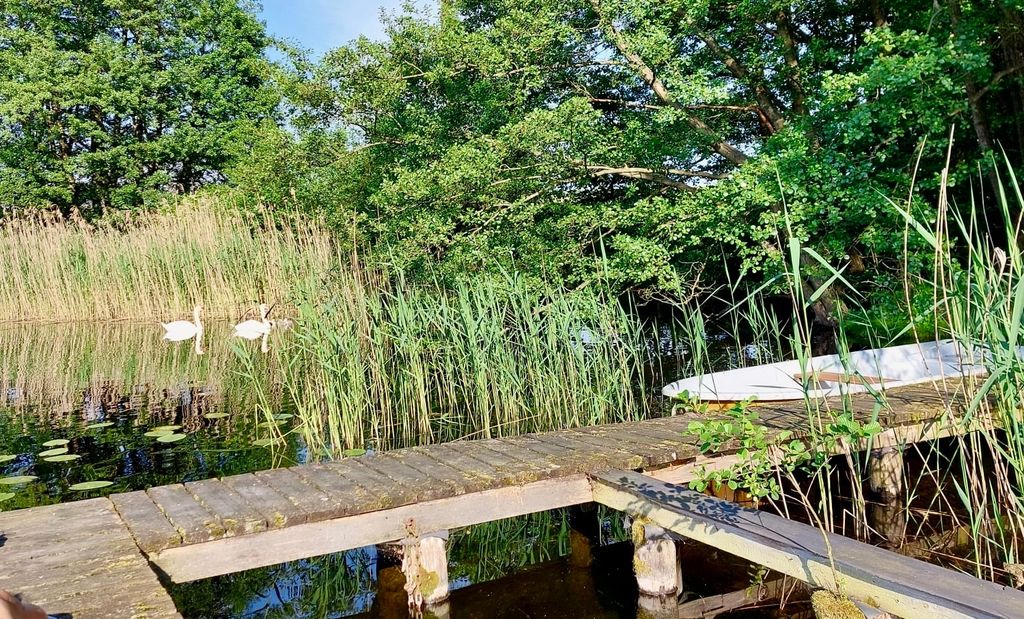 kleine Hütte am Kritzower See mit Steg & Natur pur