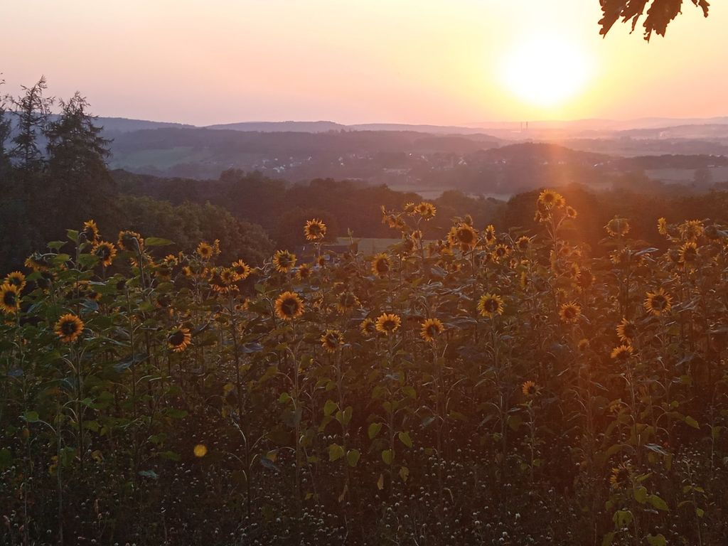 "Il paradiso naturale del Weserbergland