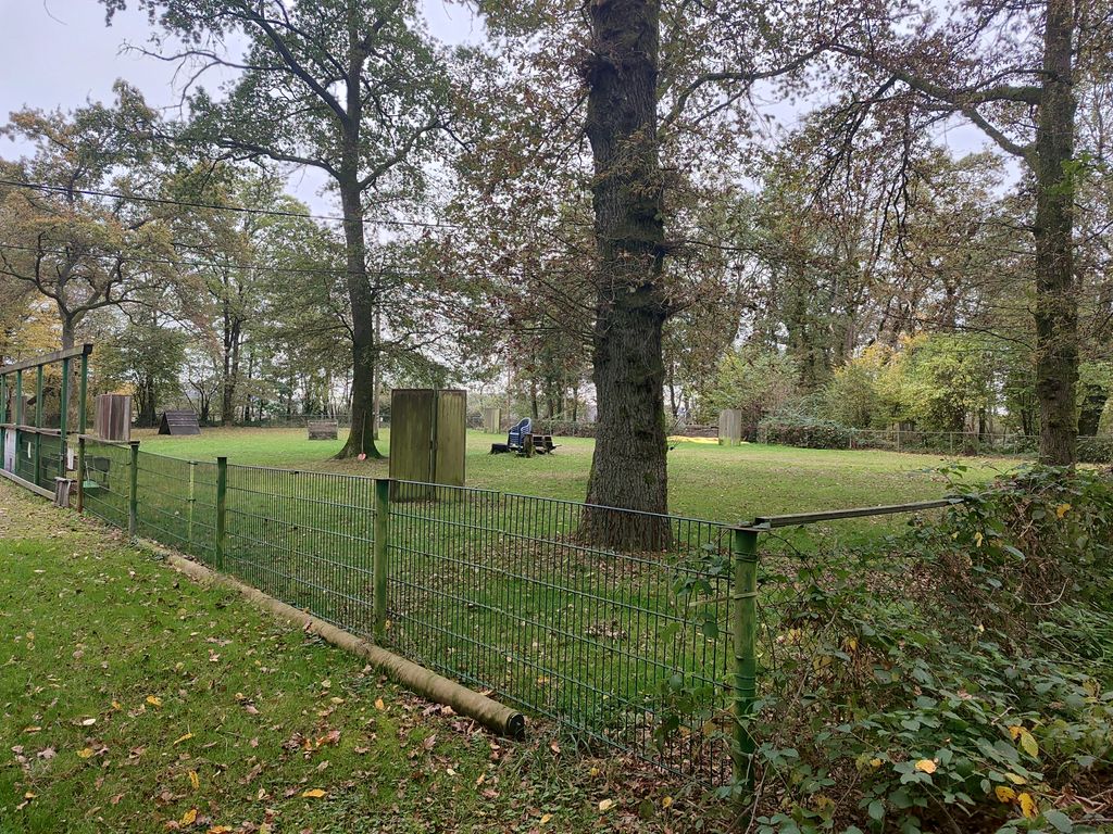 Übernachten am Hundeübungsplatz