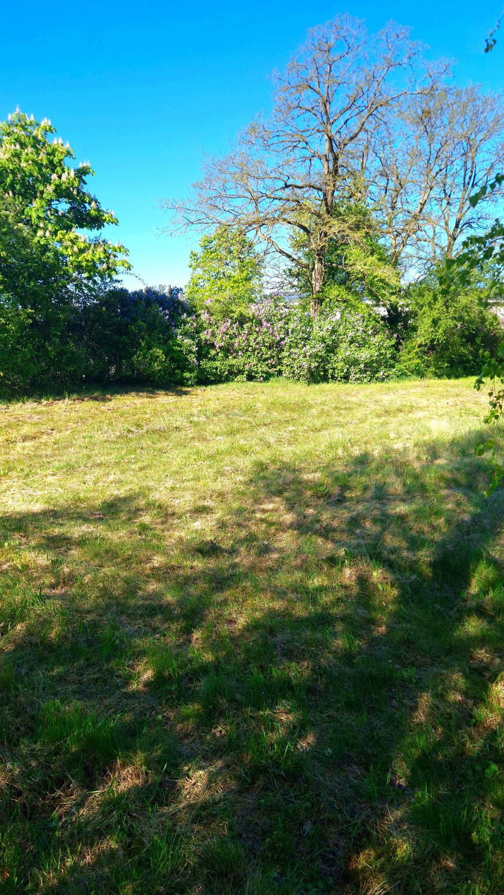 Camping near the Spreewald - Between Berlin & Dresden