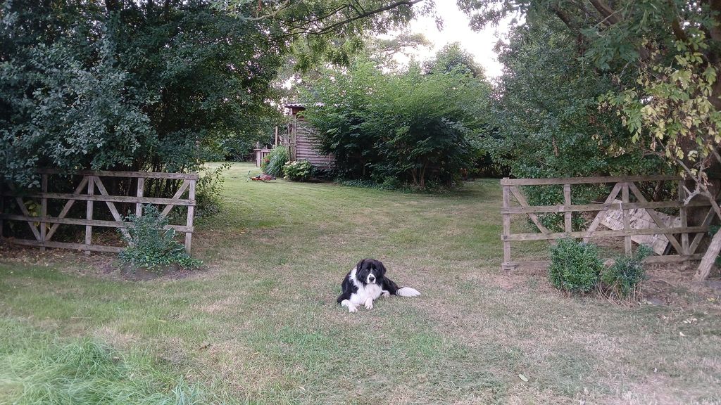 Idylle à la ferme près de Cuxhaven