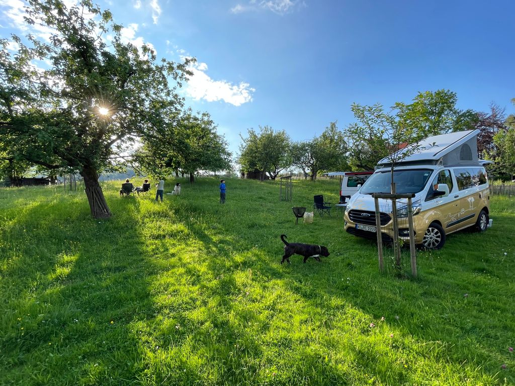 Campen auf der Streuobstwiese neben den Schafen