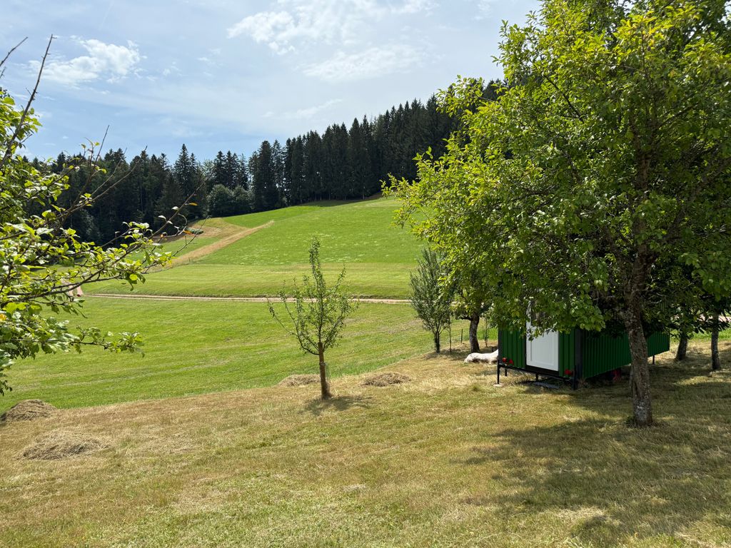 Vivere in una roulotte circondata da alberi da frutto