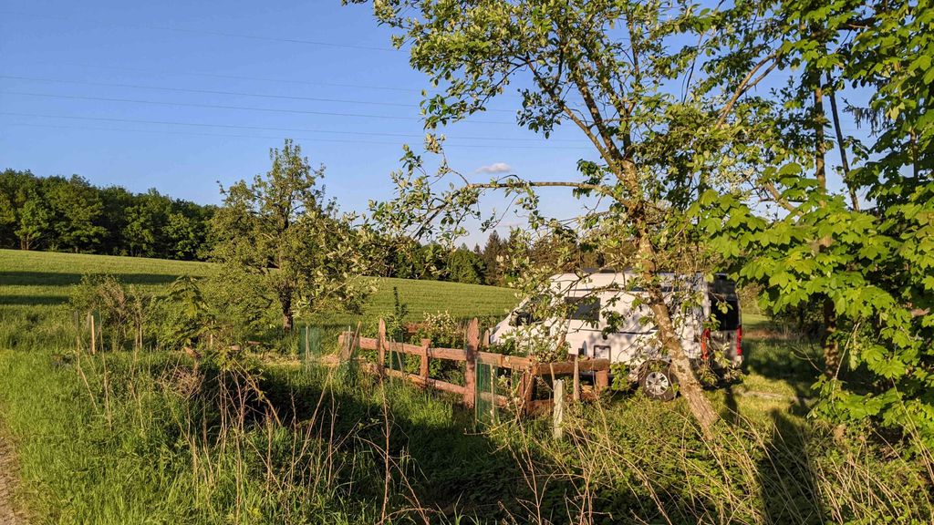 Despacio en la pradera del bosque