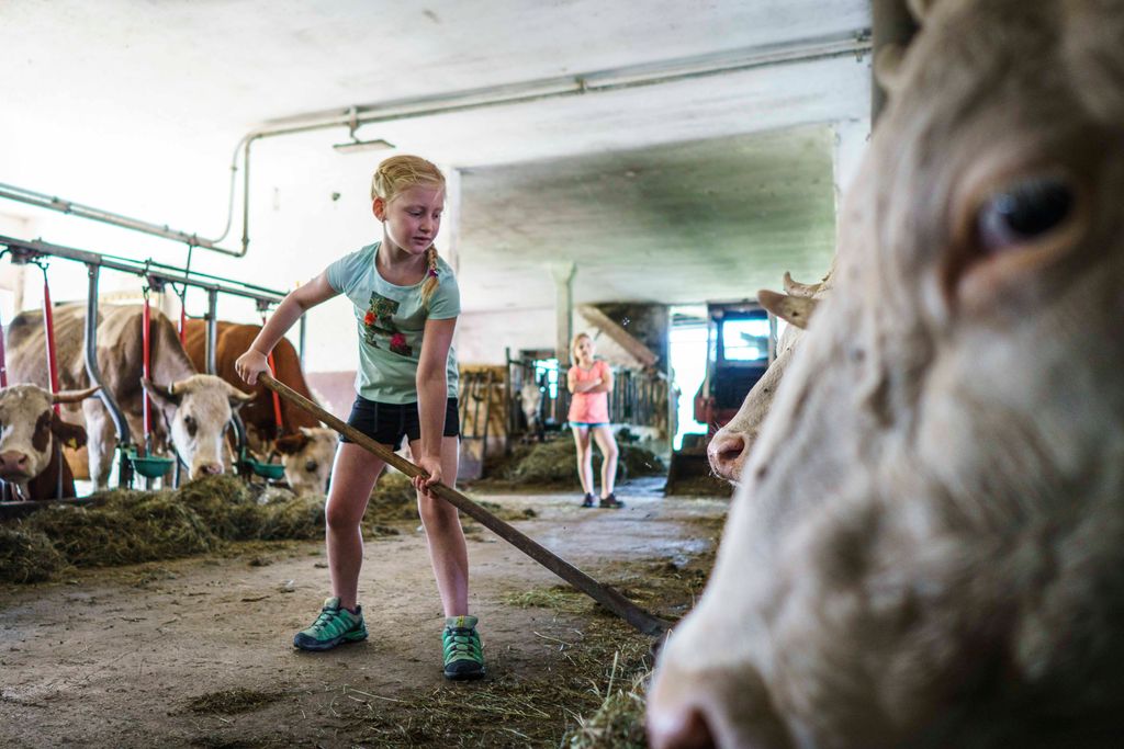Camping en una granja ecológica
