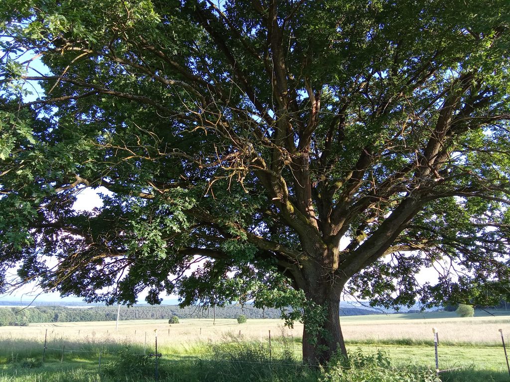 Panorámica del Rhön en una antigua granja de tres lados