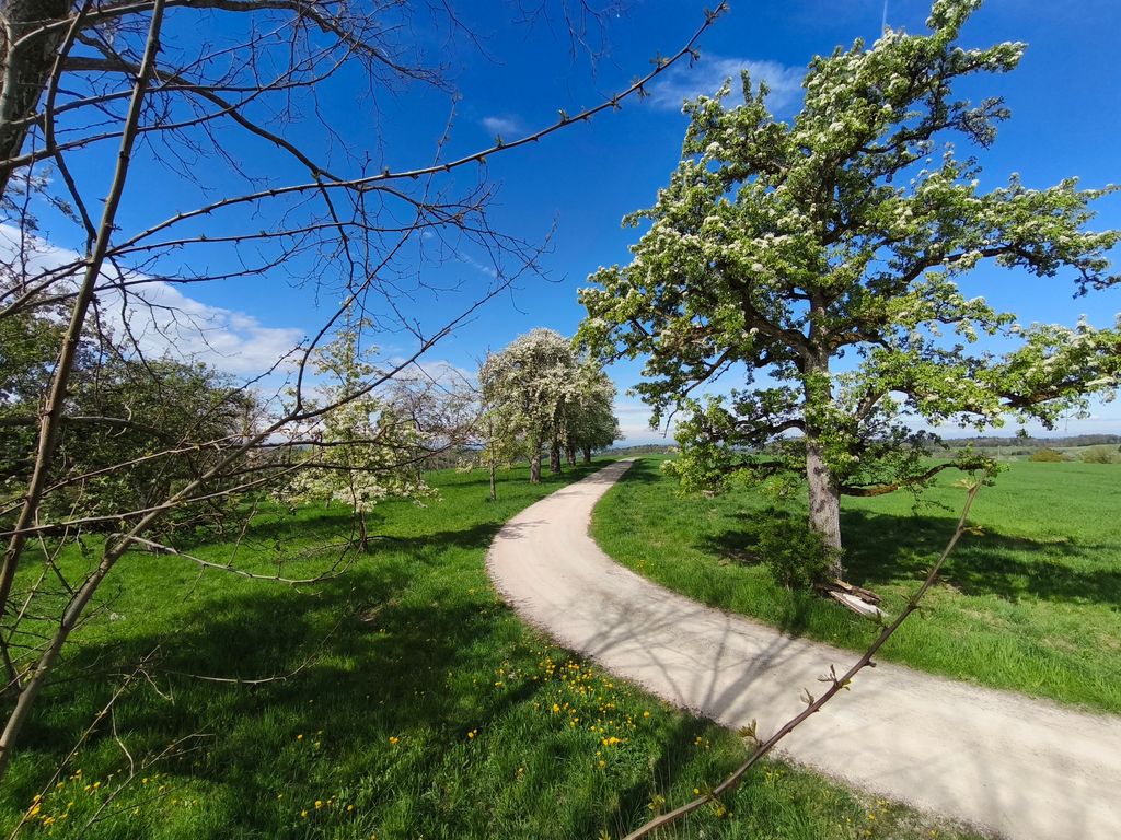 Familienfreundlicher Camperhof mit Alpenblick